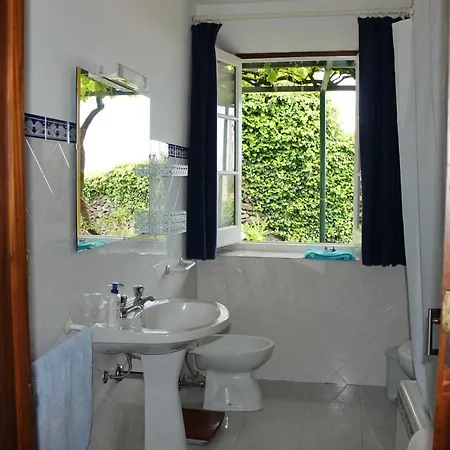A Casa Da Vinha *