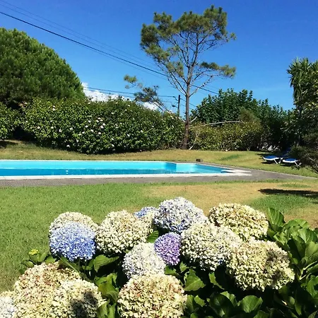 A Casa Da Vinha Apartment Caloura